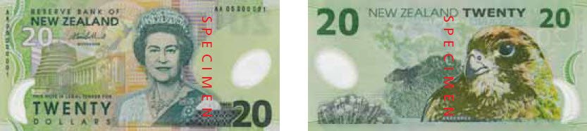 twenty dollar note
