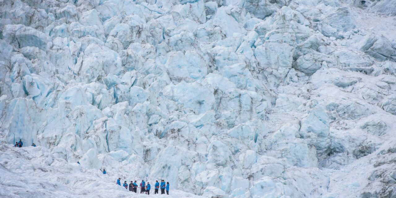 프란츠 조셉 빙하 (Franz Josef Glacier)