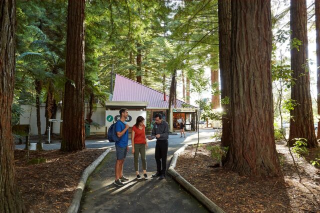 레드우드 화카레와레와 포레스트 (The Redwoods Whakarewarewa Forest)