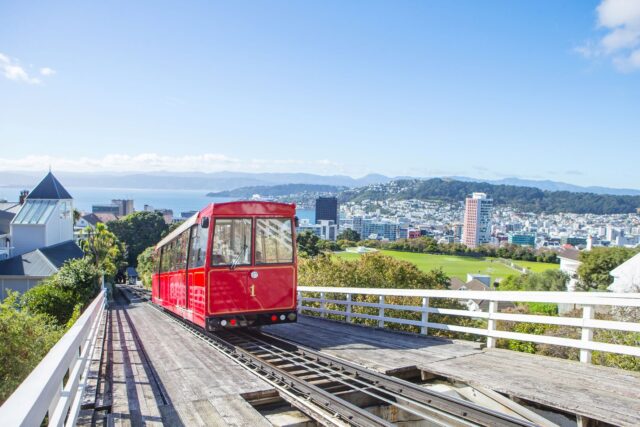 웰링턴(Wellington)