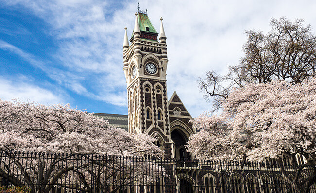 더니든 (Dunedin)