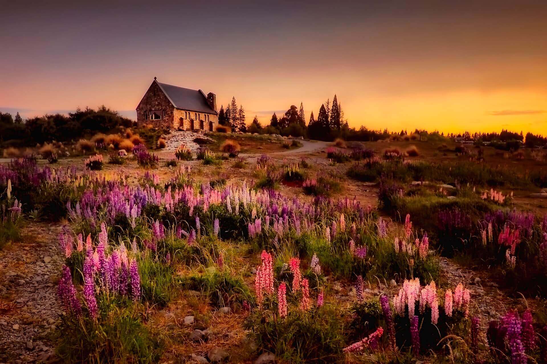 테카포 호수 (Lake Tekapo)