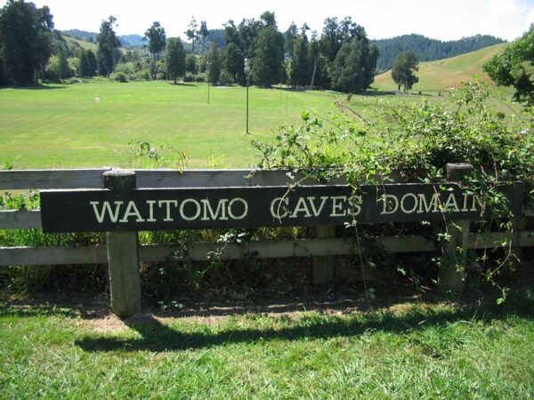 와이토모 반딧불 동굴 (Waitomo Glowworm Caves)