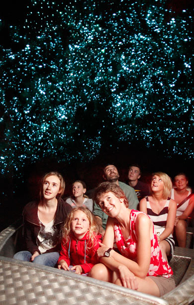 와이토모 반딧불 동굴 (Waitomo Glowworm Caves)