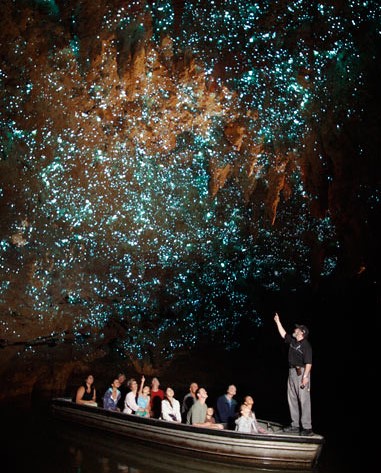 와이토모 반딧불 동굴 (Waitomo Glowworm Caves)